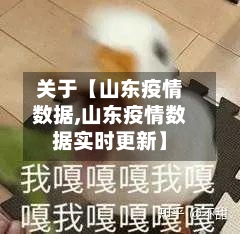关于【山东疫情数据,山东疫情数据实时更新】