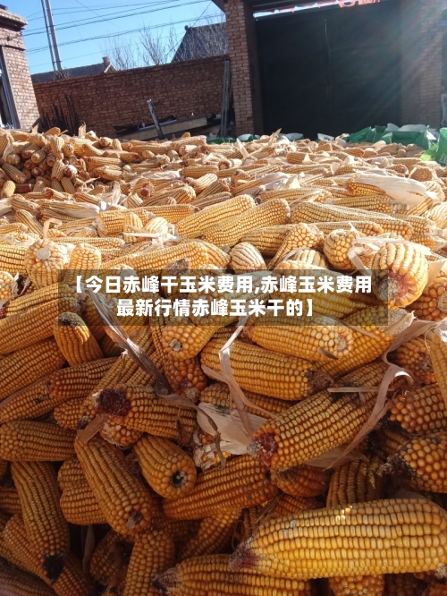 【今日赤峰干玉米费用,赤峰玉米费用最新行情赤峰玉米干的】-第2张图片